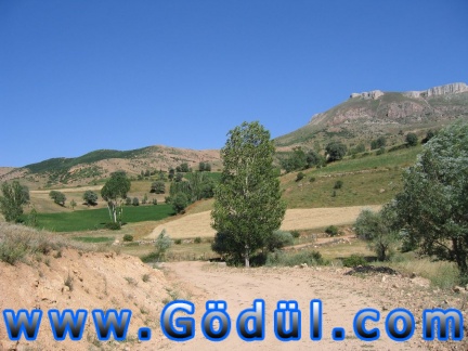 Resim 358