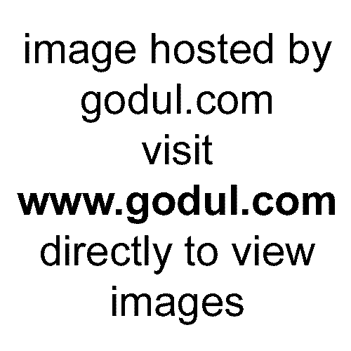 Resim 269
